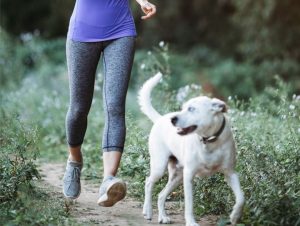 10 Simple Health Tips to Improve Your Life